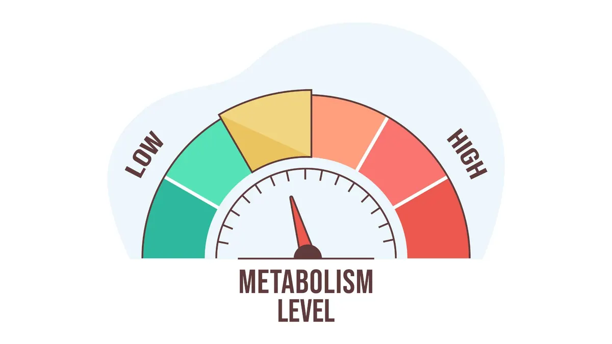 Infográfico de níveis de metabolismo com escala e medição