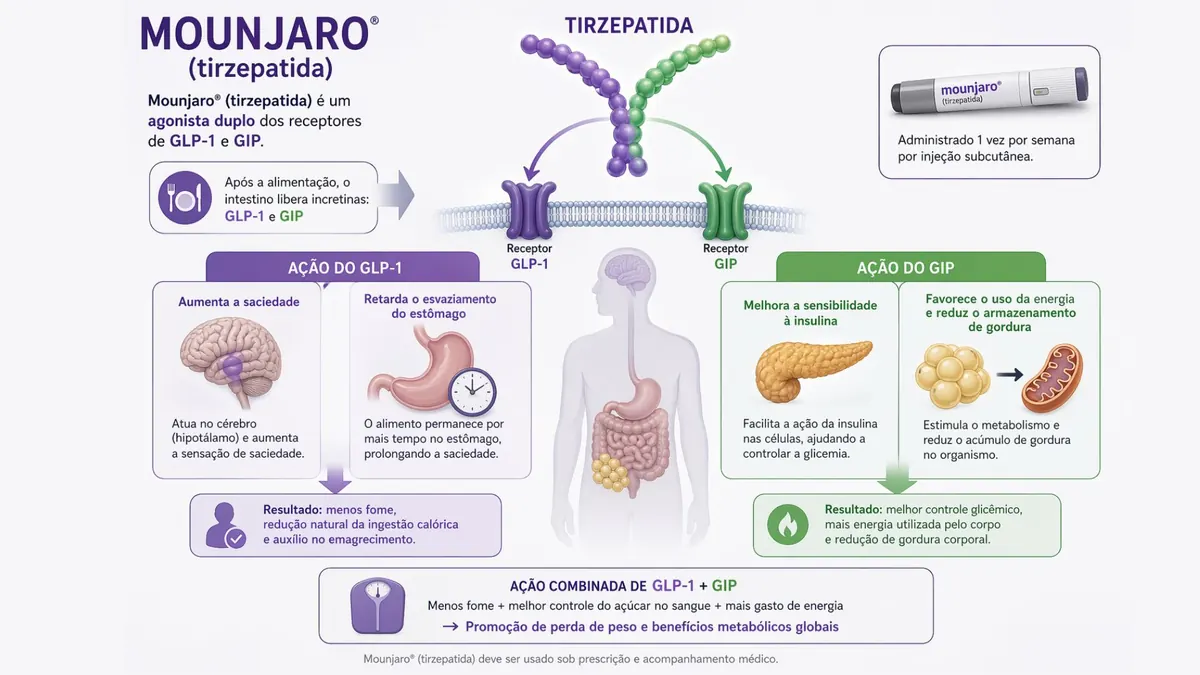 ilustração do funcionamento do tirzepatida no organismo